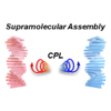 Circularly polarized light-driven supramolecular chirality