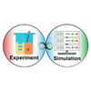 Self-assembly of architected macromolecules: Bridging a gap between experiments and simulations