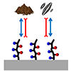 Sediment-resistant marine antifouling amphiphilic random copolymer coating