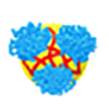Bottlebrush polymer patches template heterometal growth on gold nanoparticle surface