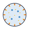 Nanoporous polymeric membranes with tunable 10-nm pore sizes for fast Li+ ion mobility and enhanced cyclability in lithium metal batteries