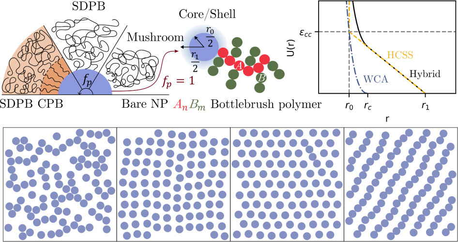 We participated in a dissipative particle simulations study about single bottlebrush ligand-conjugated nanoparticle led by YongJoo Kim group at Korea University and published the results in Langmuir.