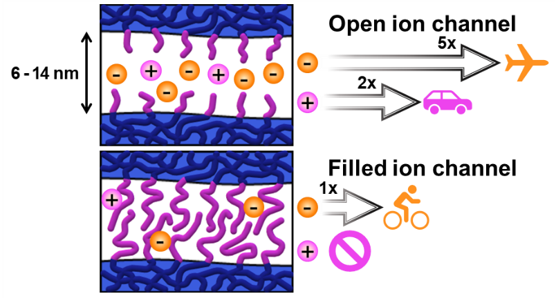 Morphological transition from porous to nonporous ion-conducting nanochannels in triblock polymer-based anion exchange membranes via polymerization-induced microphase separation